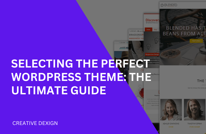 Selecting the Perfect WordPress Theme